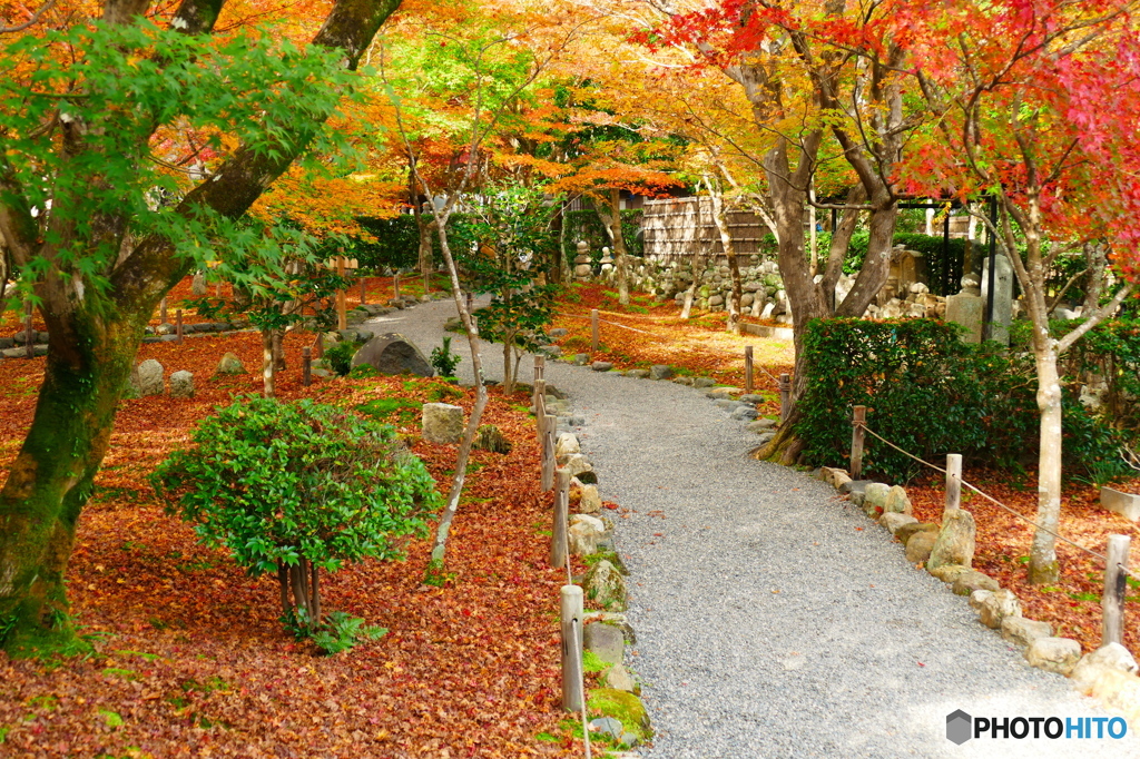 化野念仏寺2015の1