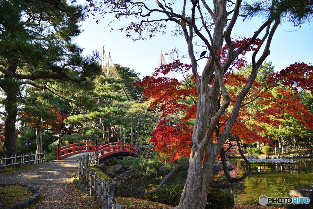 芦城公園錦橋