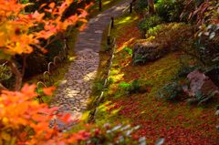 京都嵐山散策、大河内山荘の小道
