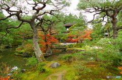 銀閣寺2015の2