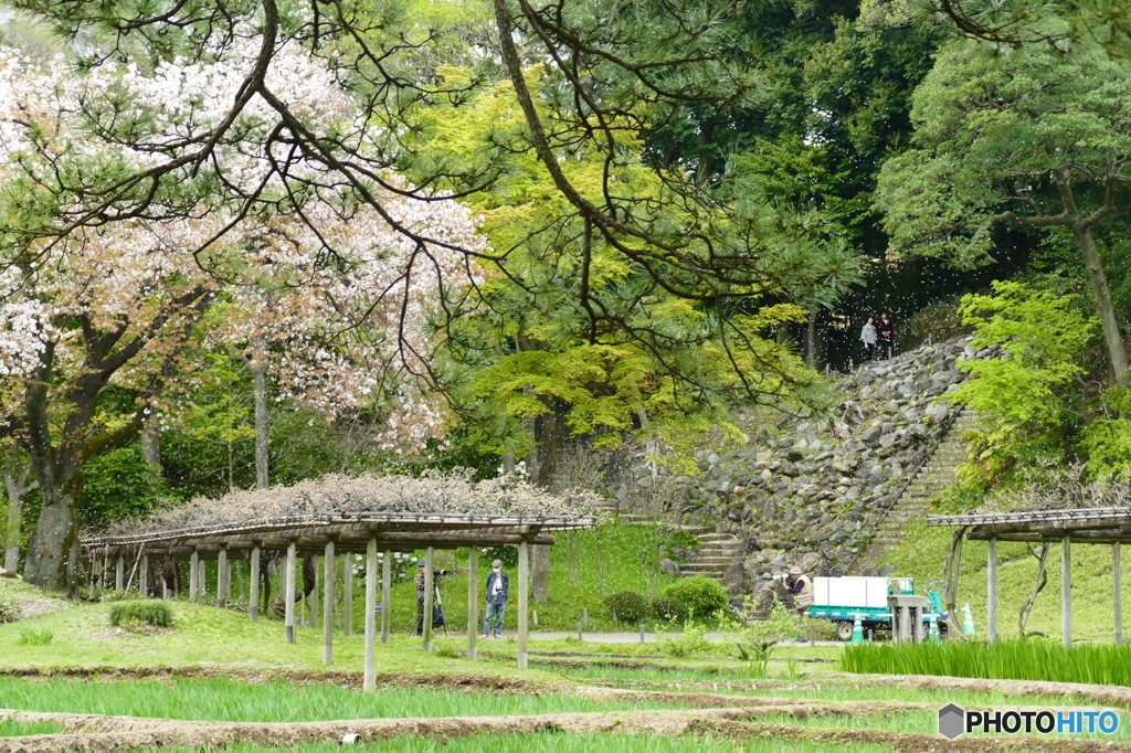 小石川後楽園の3