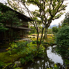MURIN-AN