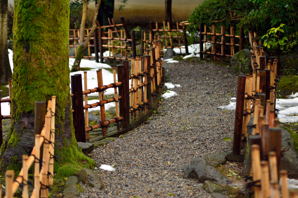 養浩館庭園散策