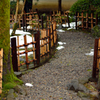 養浩館庭園散策