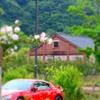 二つの赤