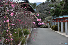 常宮参道にて