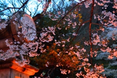 桜と時計
