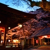 花換祭ー夜桜と金ヶ崎宮