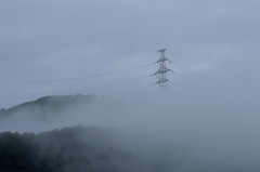 霧に佇む