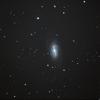 NGC2903銀河
