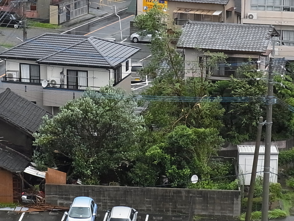 台風15号直撃後