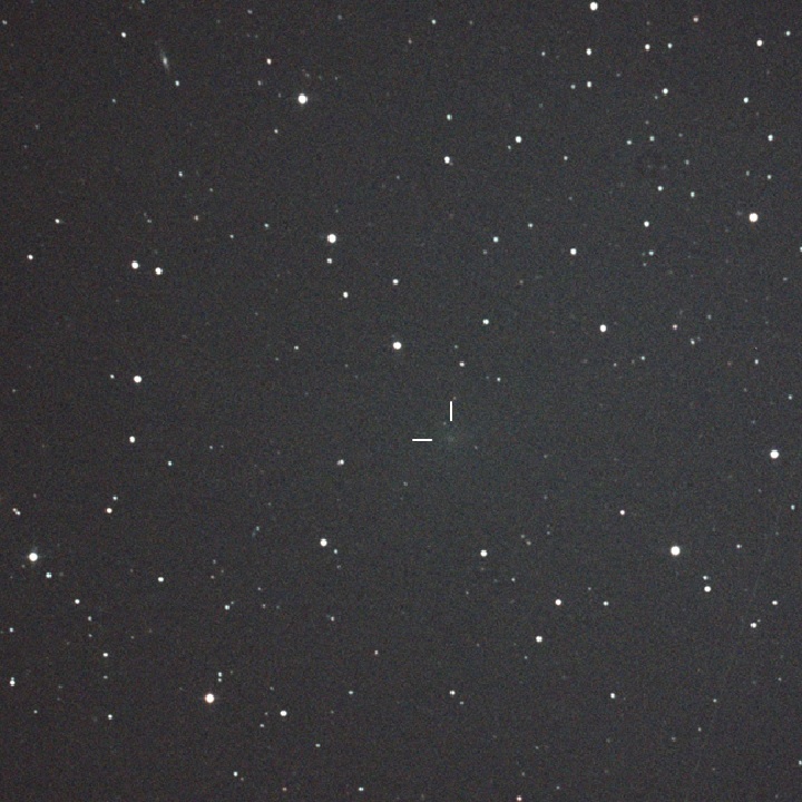 紫金山第１彗星