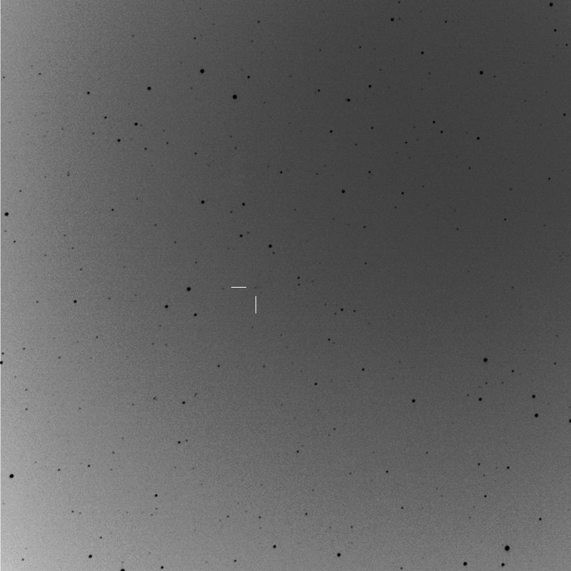 ヴィルト第４彗星