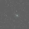 パンスターズ彗星