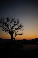夕暮れ