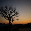 夕暮れ