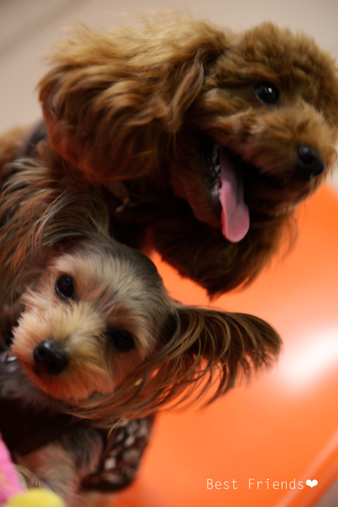 Best Friends