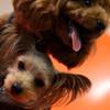 Best Friends