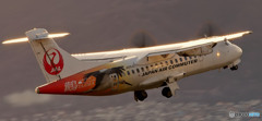 コウノトリ ATR42