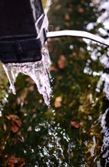 DSC_2057