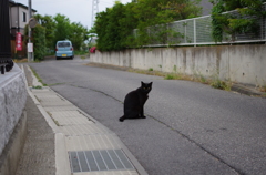 ついて来た