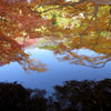 古寺の紅葉