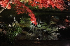 京都、紅葉