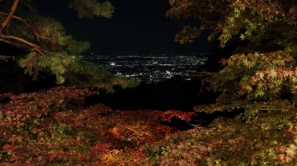 大山寺　紅葉のライトアップ (1)