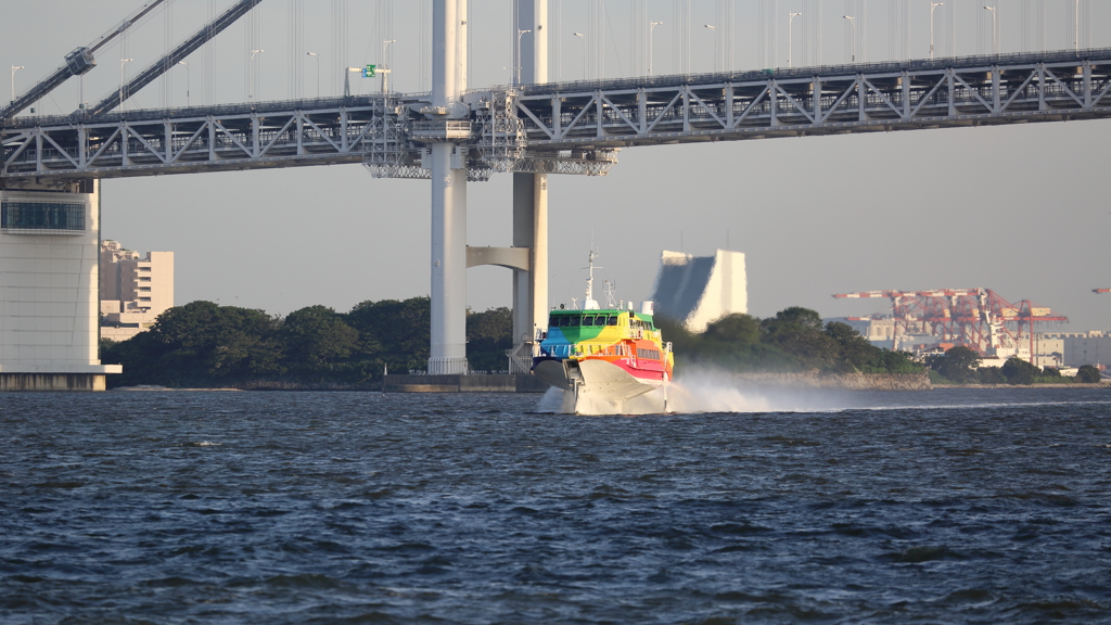 東京竹芝客船ターミナル　セブンアイランド“虹”（1）