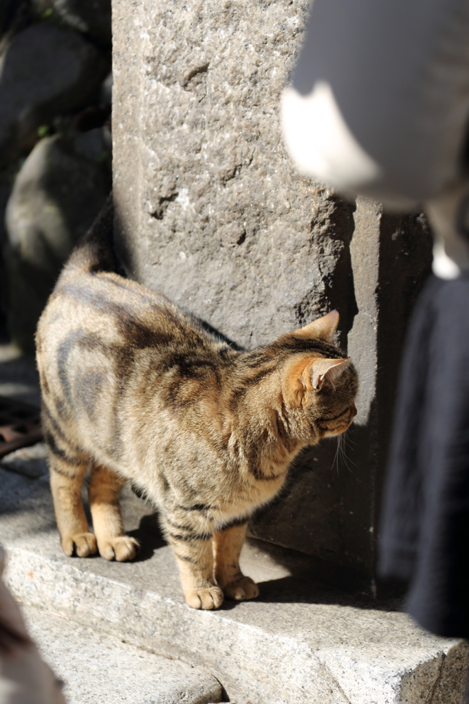 ちょっと照れてます