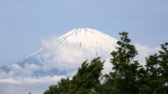 金時山より　富士山