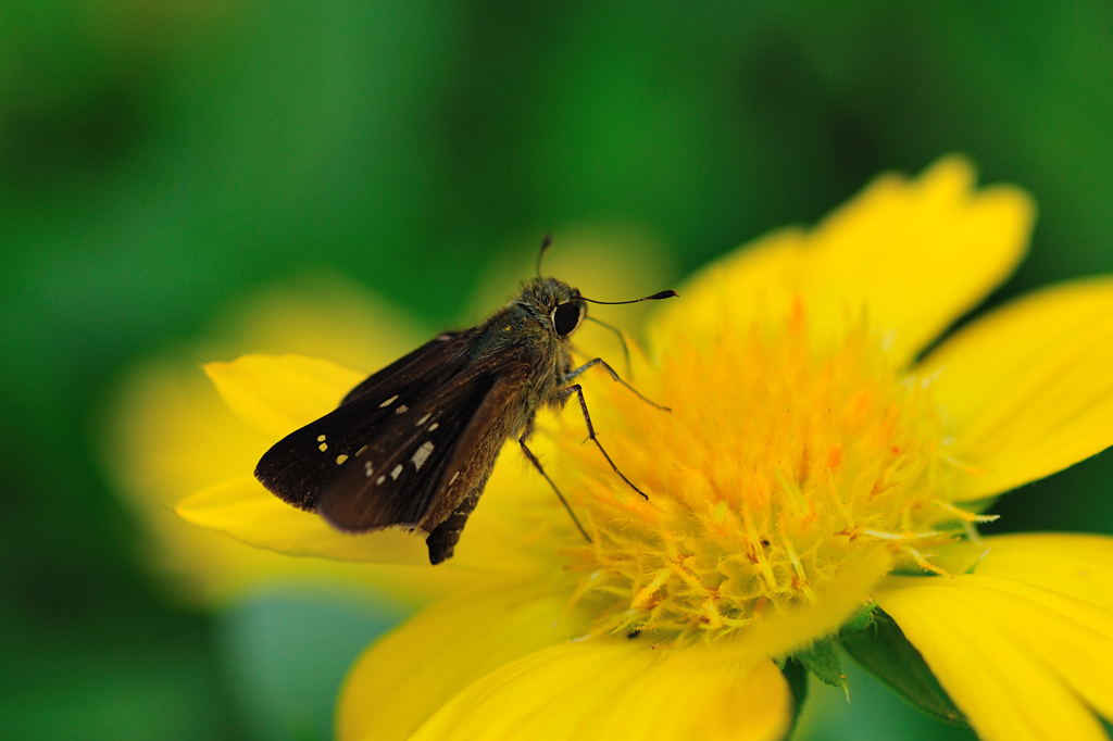 トレジャーガーデンにて