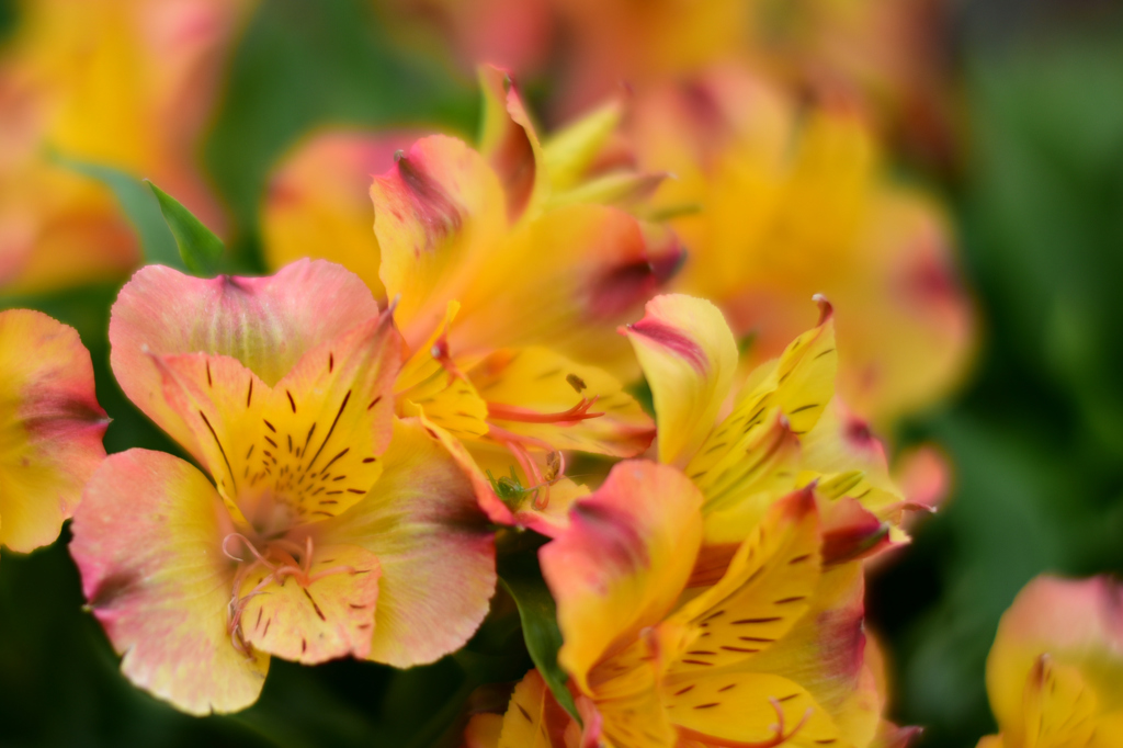 あ！みつかった