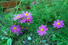 2013.10.9