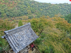 DSC04675