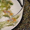 涼