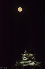 気づいたころには・・・