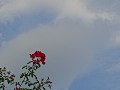 DSC04702