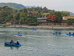 DSC04659