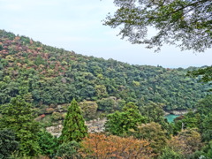 DSC04694