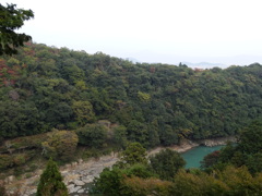 DSC04687