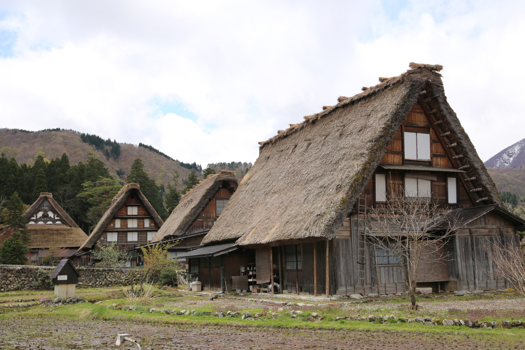 白川郷 合掌集落
