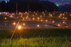 寺坂棚田の幻想一夜