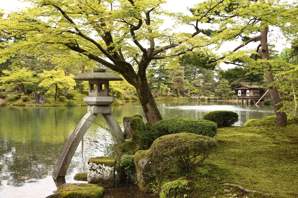 兼六園を訪れて