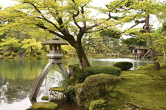 兼六園を訪れて