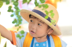 幼稚園
