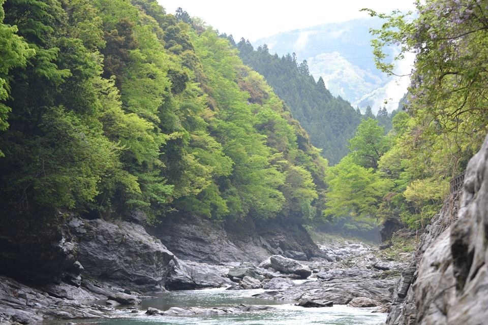 祖谷渓
