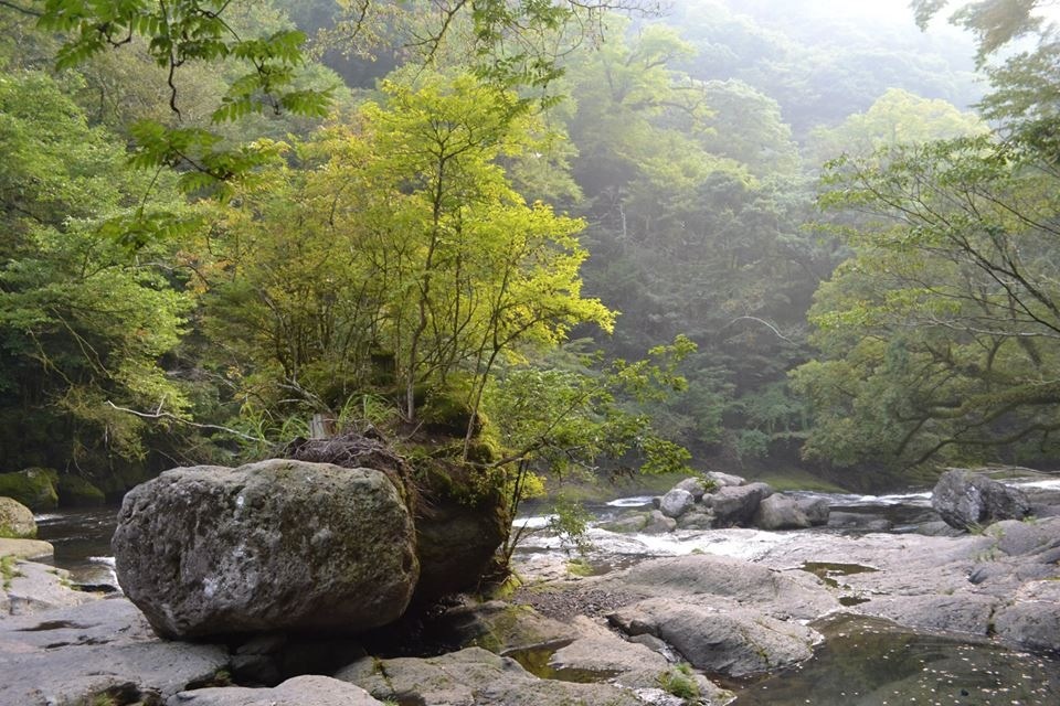 菊池渓谷