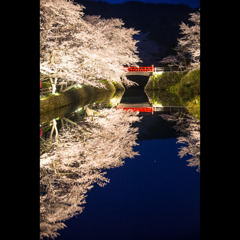 春宴