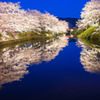 Mirror World